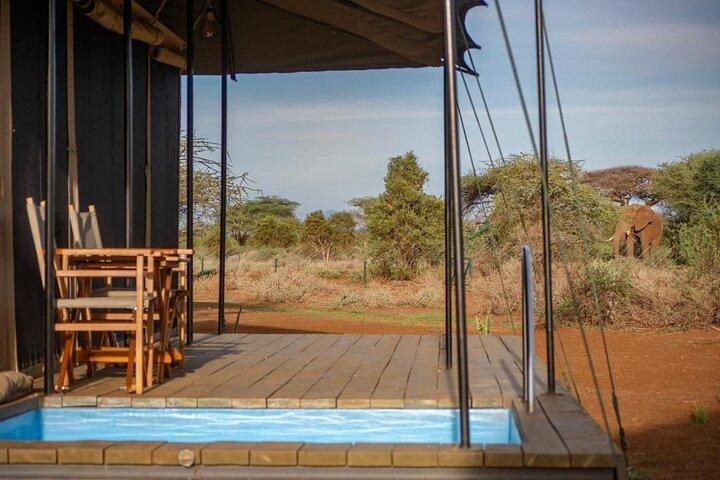 4-Day Lake Naivasha & Amboseli- Luxury Grp Joining Safari