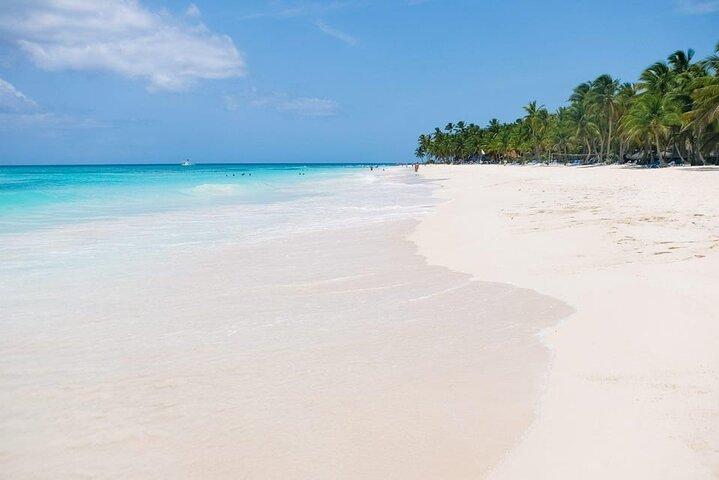 From Santo Domingo: Saona Island For Small Group Catamaran