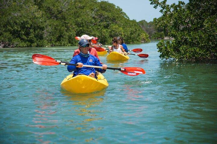 Key West Schooner Backcountry Eco Tour Sail Snorkel and Kayak