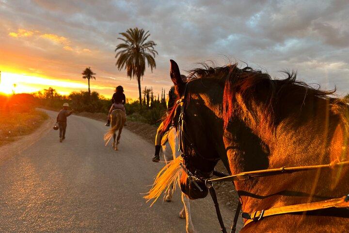 Marrakech Private Horse Riding in the Palm Grove with Tea