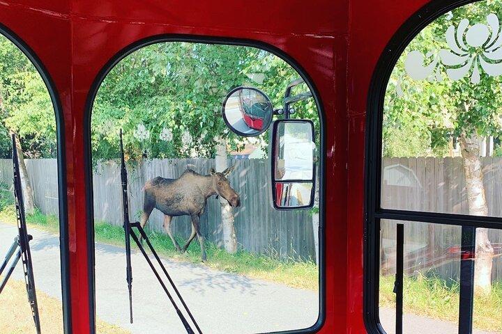Anchorage Trolley's Deluxe City Tour