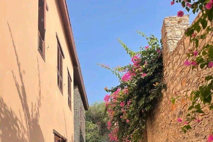 Dakar city and goree island. Explore the highlights