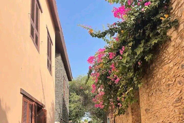 Dakar city and goree island. Explore the highlights