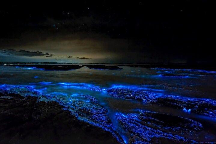 Cayman Bioluminescent Bay Night Tour
