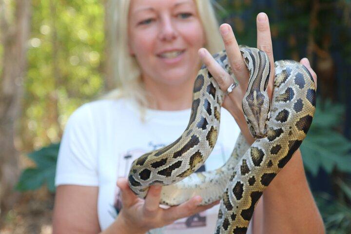 Hartley Crocodile Park with Kuranda, Skyrail Cableway and Train