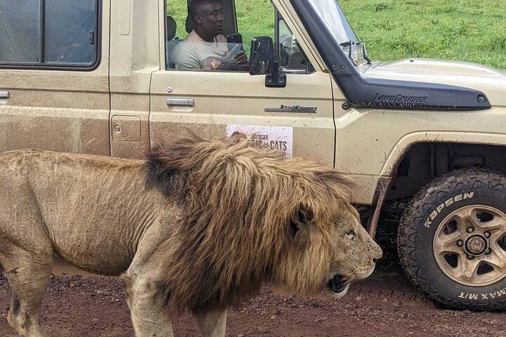 Full- Day Trip to Tarangire National Park From Arusha