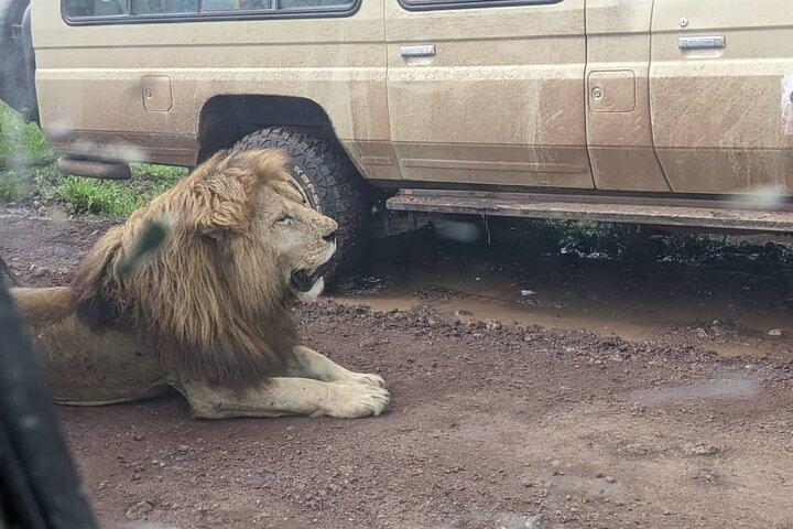 Full- Day Trip to Tarangire National Park From Arusha