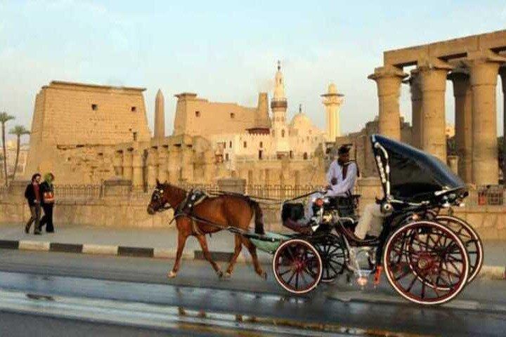 Private Luxor Tour in 2 Half Days with Privat AC Car and Guide