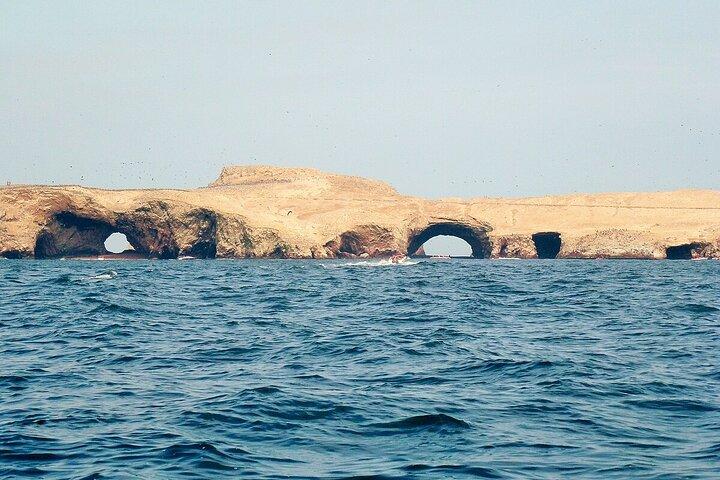1 day tour to Ballestas Islands and Paracas National Reserve