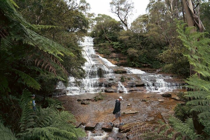Blue Mountains Adventure w Scenic World, Zoo, Koala Photo & Ferry