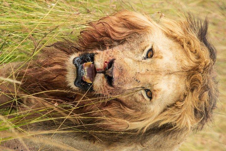 7 Days 6 Nights Best of Kenya Safari