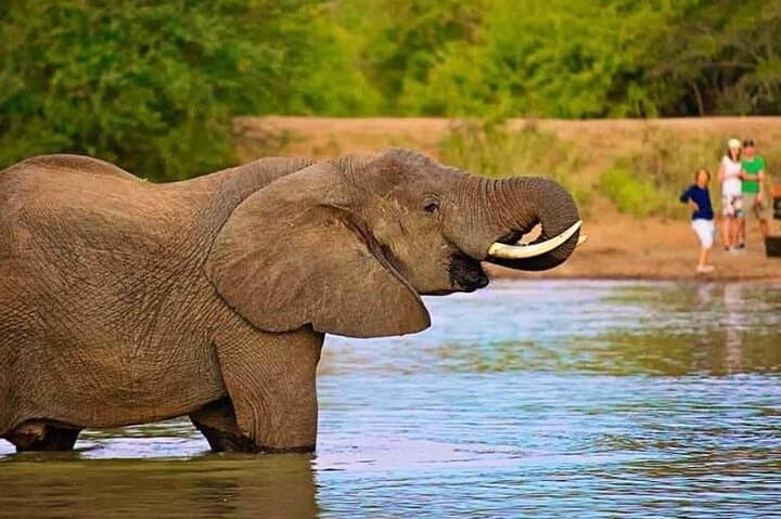 11 Days Kenya Safari Tour on 4x4 Landcruiser Jeep
