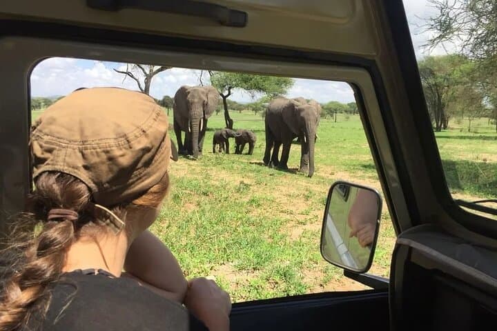 11 Days Kenya Safari Tour on 4x4 Landcruiser Jeep