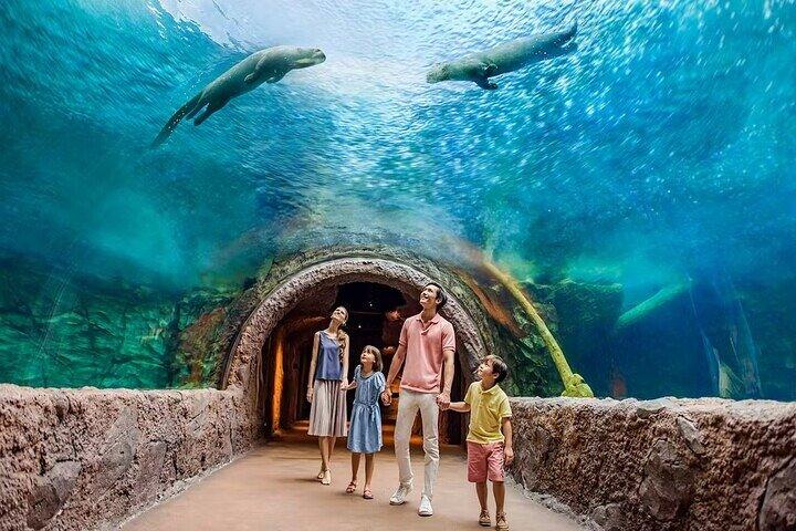 Singapore River Wonders Entry Ticket