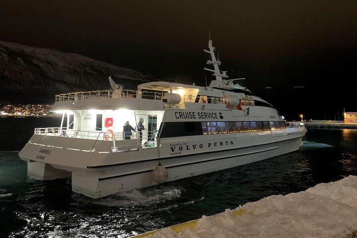 Whale Safari in Tromso