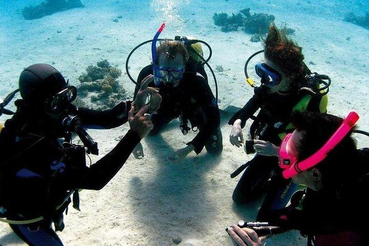 Scuba Diving Experience with a Professional Instructor