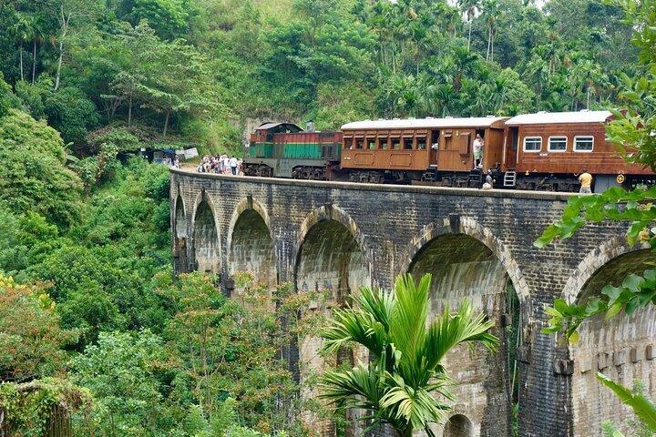 Sri Lanka Ella Private Day Tour Nine Arch & Elephant transit home