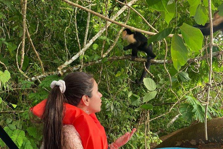 Panama Canal and Monkey Island in Gatun Lake