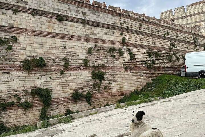 Istanbul City Walls & Byzantine Secrets – Private Walking Tour