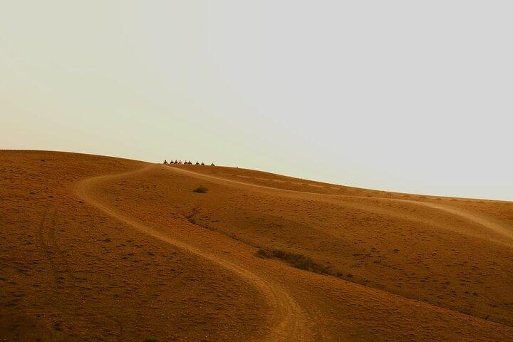 Marrakesh:Agafay Dinner Show with Quad Bike and Sunset Camel Ride
