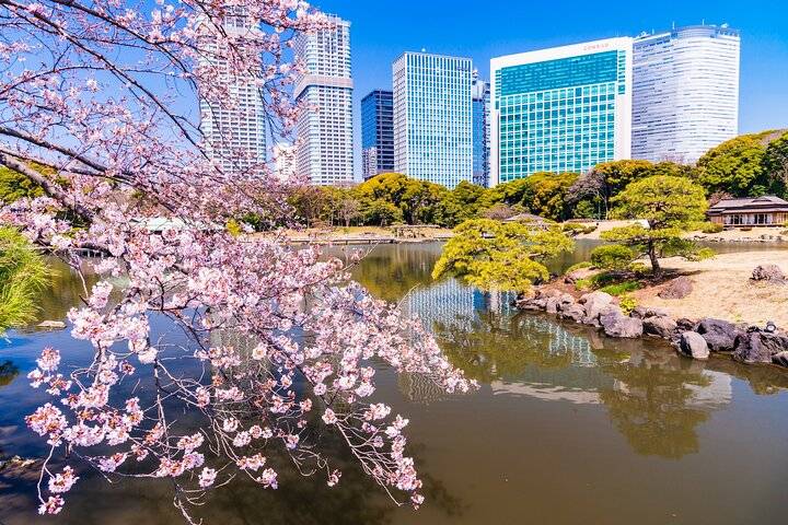 Sankeien Garden, Yokohama