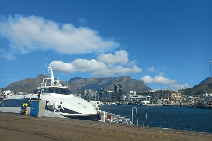 Pre-Booked Robben Island Tour with Return Transfers