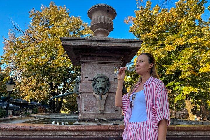 Sremski Karlovci Tour A Journey Through Vineyards and Winery