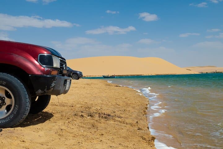 Fayoum Oasis Safari with Valley of Whales & Traditional Lunch