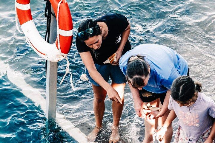 Darwin: Feed Fish at Aquascene. Tickle Your Toes at Doctors Gully
