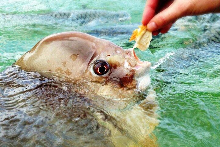 Darwin: Feed Fish at Aquascene. Tickle Your Toes at Doctors Gully