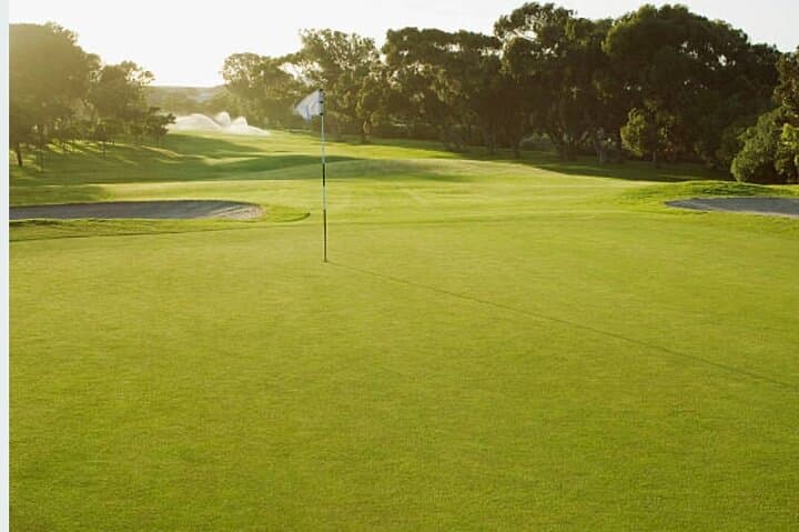 Experiencing Playing Golf in Stellenbosch and Wine Tasting