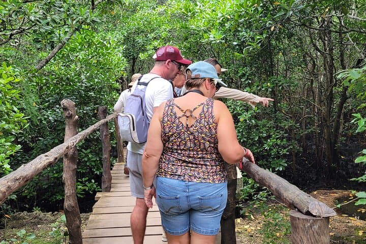 Private Walking Tour in Jozani Forest in Zanzibar