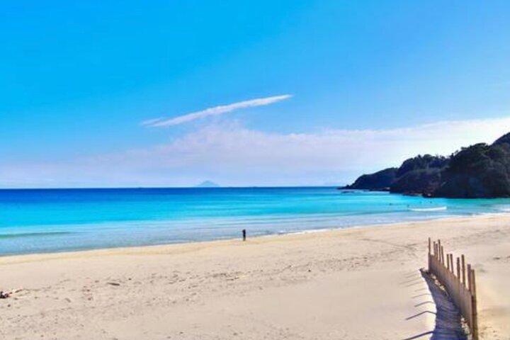 From Tokyo: Private Day Trip to Izu & Shimoda, Shizuoka