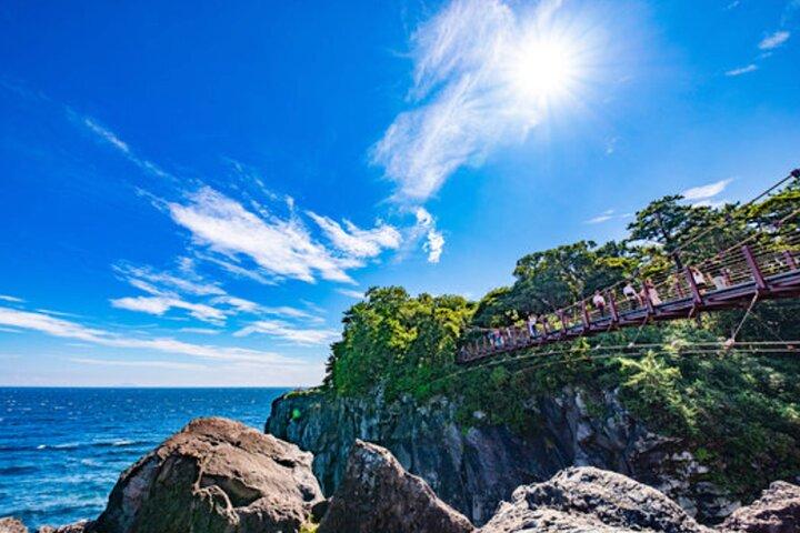 From Tokyo: Private Day Trip to Izu & Shimoda, Shizuoka