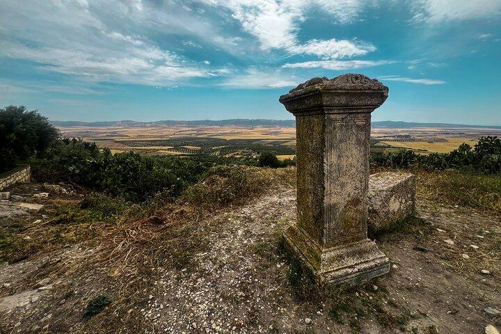 Private Day Trip to Bulla Regia and Dougga