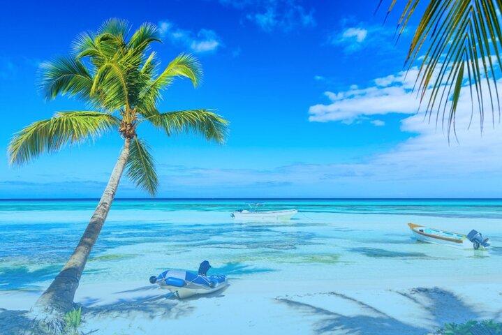 From Santo Domingo: Saona Island For Small Group Catamaran