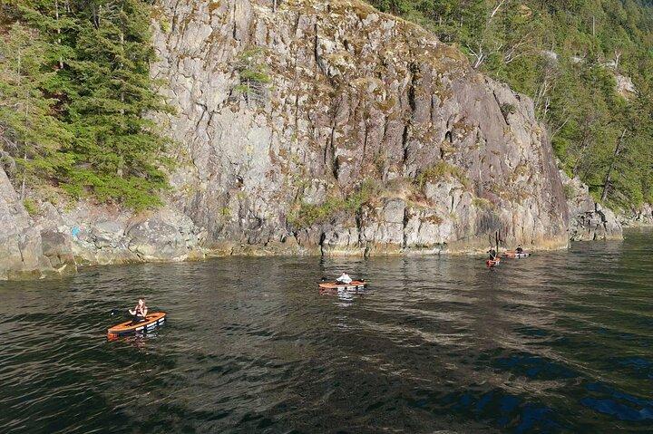 Vancouver UNESCO Biosphere Reserve Seals Snorkel Kayak Boat Tour