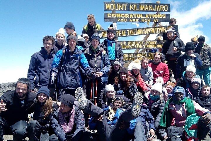 Private Day Tour Kilimanjaro Hike
