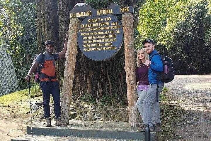 Private Day Tour Kilimanjaro Hike