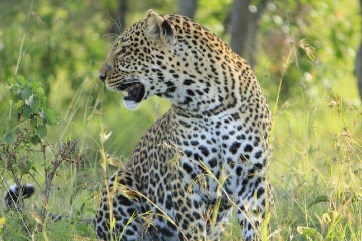 8 Days Kenya and Tanzania Private Budget Camping Safari