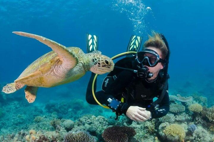 Scuba Diving Experience with a Professional Instructor