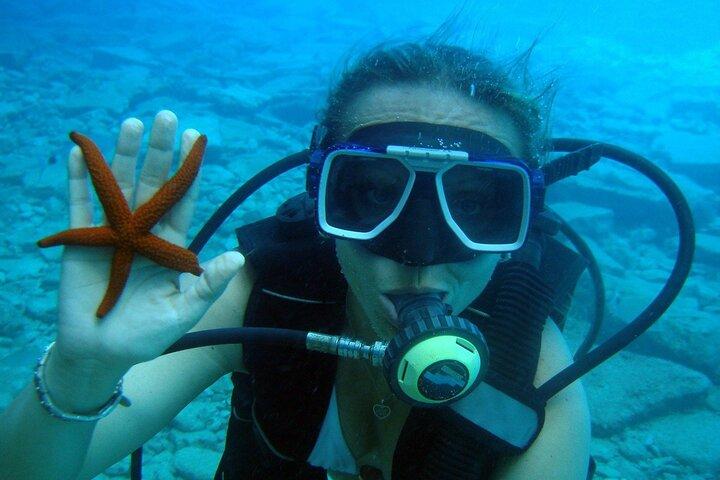 Scuba Diving Experience with a Professional Instructor