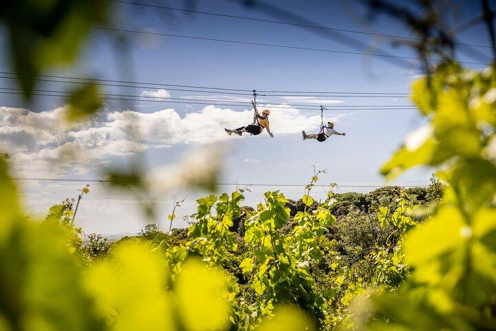 Waiheke Island Day Tour: Ziplining, Wine Tasting & Vineyard Lunch