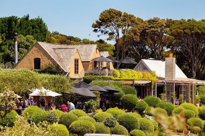 Waiheke Island Day Tour: Ziplining, Wine Tasting & Vineyard Lunch