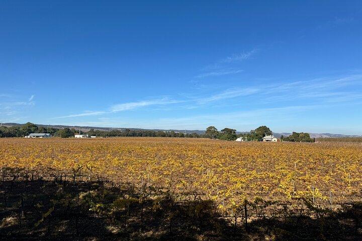 Adelaide City Highlights via Hahndorf Half-Day Tour