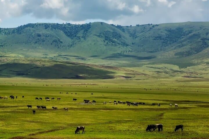 8 Days Kenya and Tanzania Private Budget Camping Safari