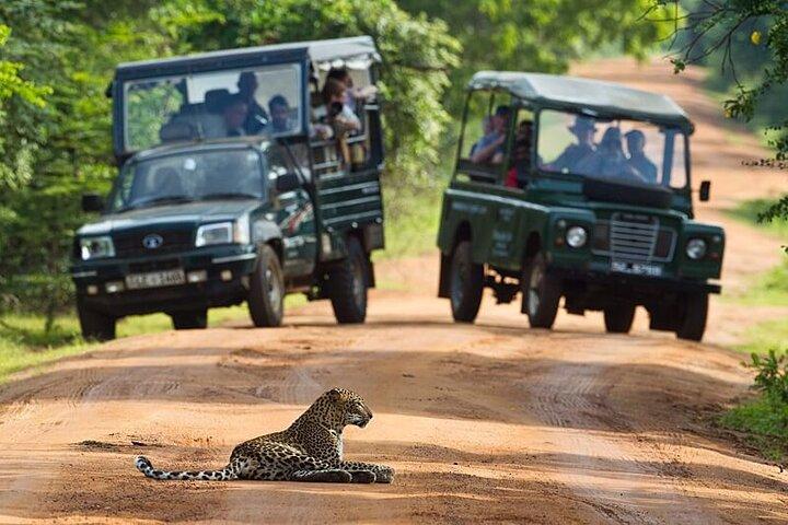 All inclusive leopard safari Wilpattu with guide
