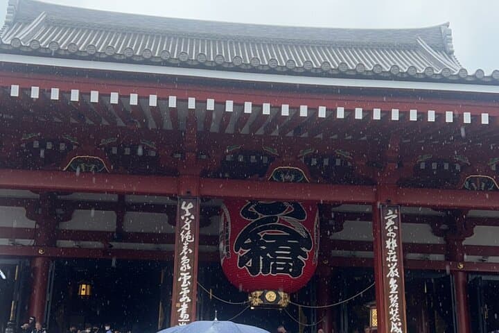 English-speaking guided day tour of Tokyo with a private vehicle
