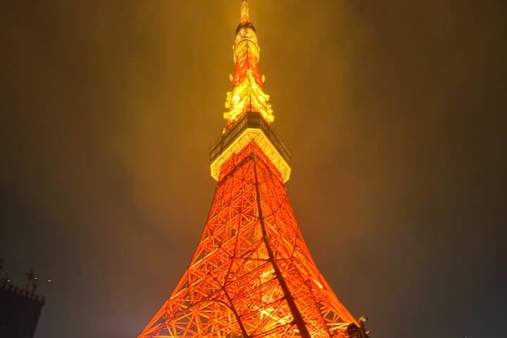 English-speaking guided day tour of Tokyo with a private vehicle
