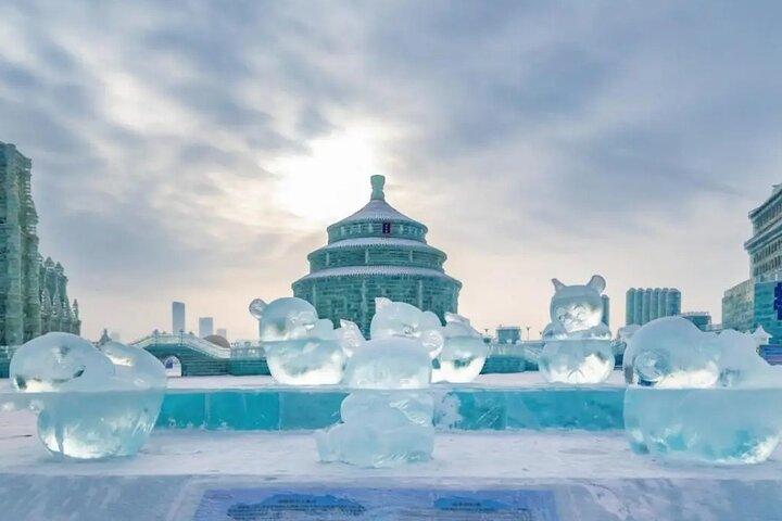 Harbin Group Day Tour:Harbin Ice and Snow Festival